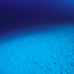 Andrej Voje - Oceanus
