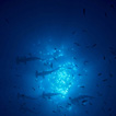 Andrej Voje - Oceanus