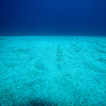 Andrej Voje - Oceanus